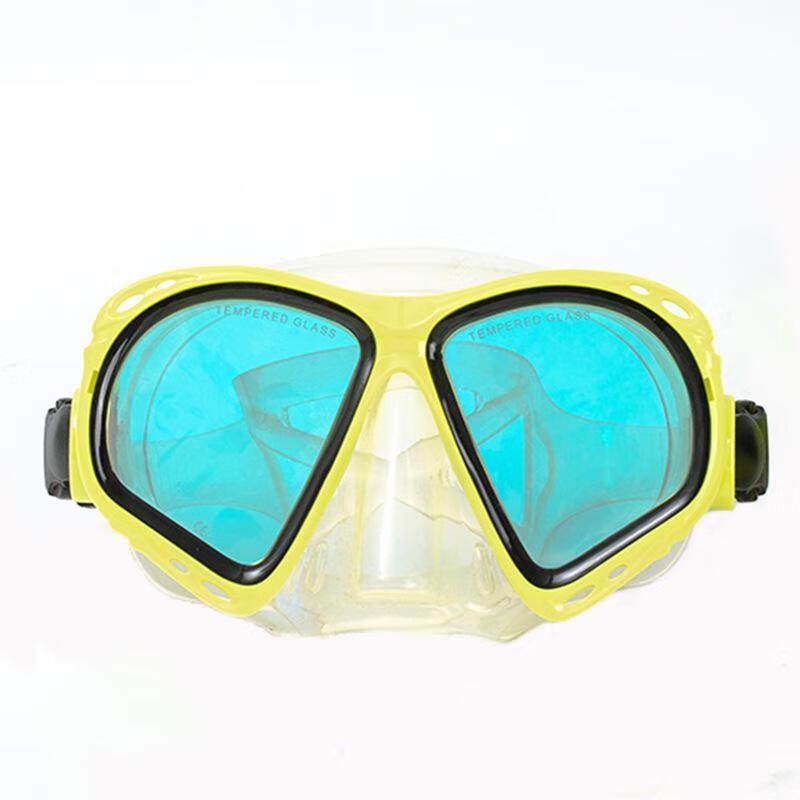 Adult Professional Snorkel Mask Set