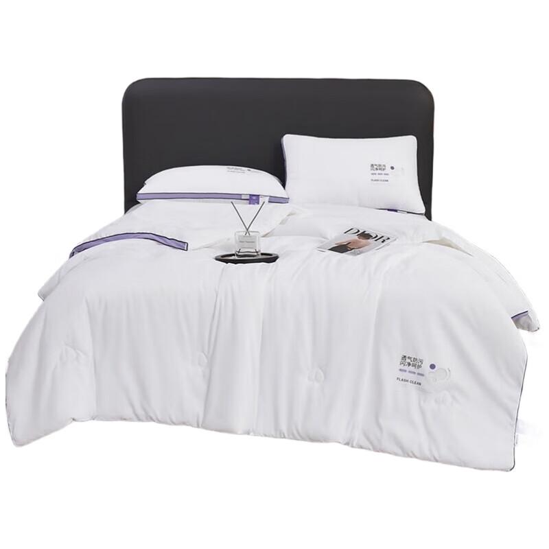 

Tangna Polylactic Acid Breathable Winter Quilt