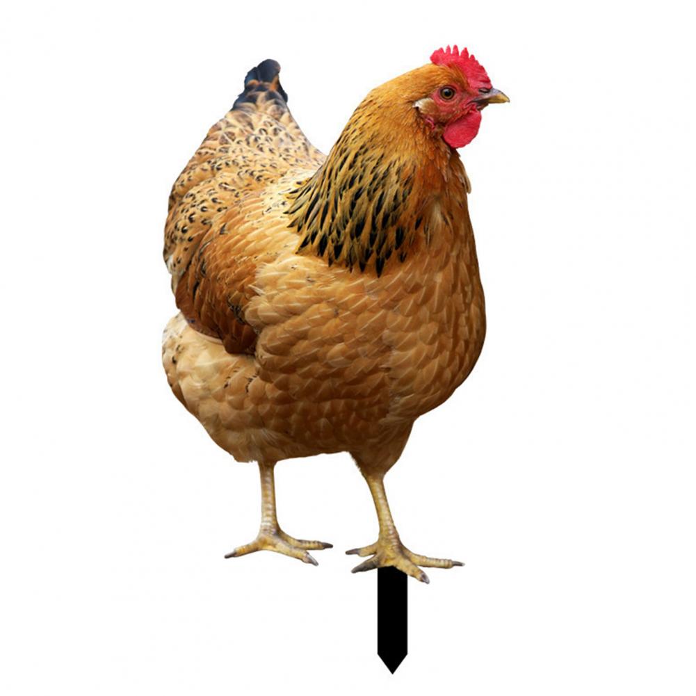 Ornamental Eco-friendly Rooster Decor Garden Statue Chicken for Garden