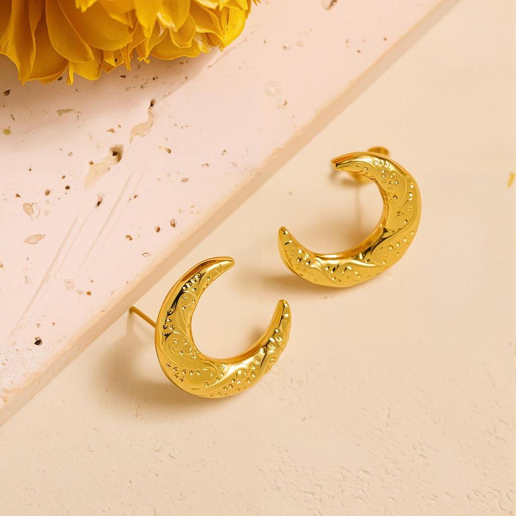 Geometric Irregular 18k Gold Titanium Steel Earrings for Women
