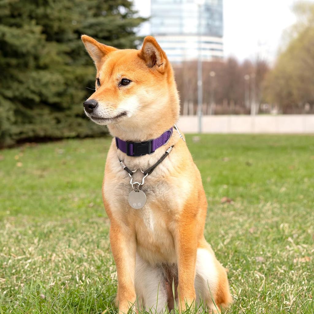 4 Pack Medium Basic Dog Collars Adjustable Dog Collars for Large Breakaway Dogs Collar Classic Pet Dogs Collar with Quick Release Buckle for Walking