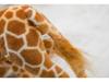 Simulation Giraffe & Sika Deer Plush Toy for Children's Photography & Birthday Gifts