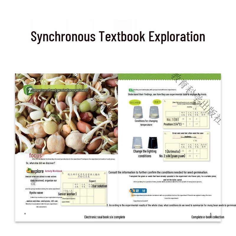 5th Grade Semester 2 Science Experiment Kit: Seed Germination Edition