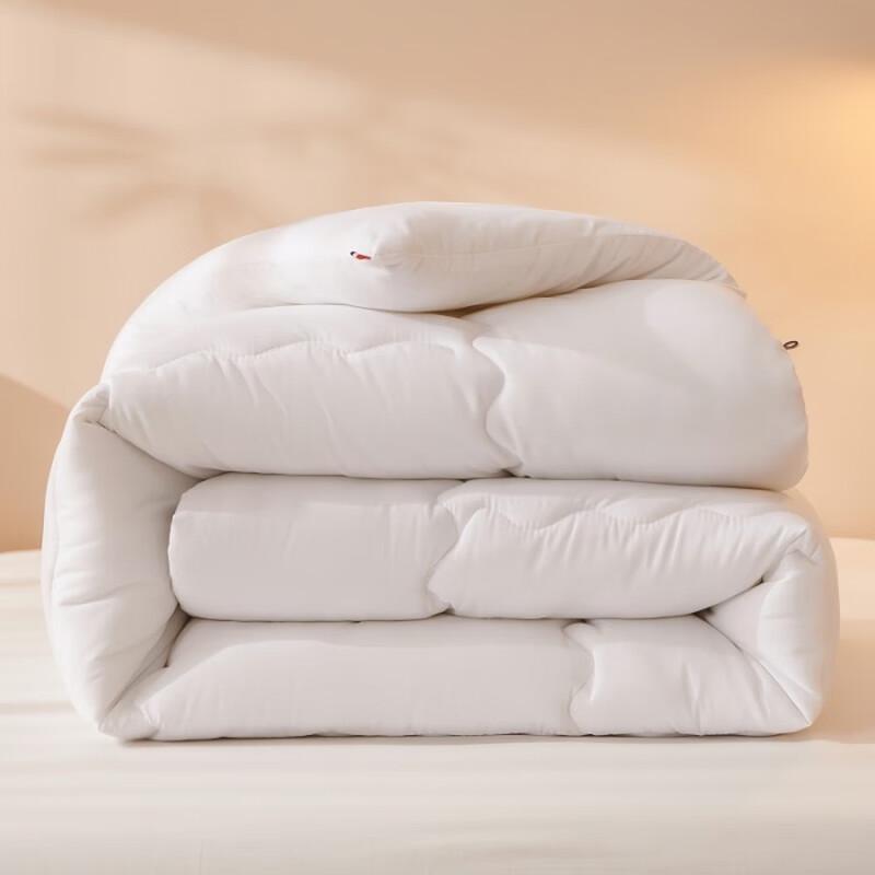 Qixiai All-Season Brushed Microfiber Duvet