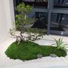 30/100G Artificial Green Moss DIY Crafts Indoor Plants Fairy Gardens Table Centerpieces Fish Tanks Microlandscape Decorative Fake Moss
