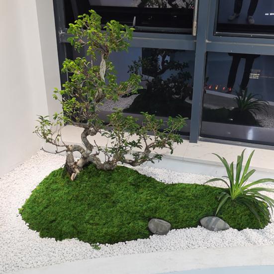 30/100G Artificial Green Moss DIY Crafts Indoor Plants Fairy Gardens Table Centerpieces Fish Tanks Microlandscape Decorative Fake Moss