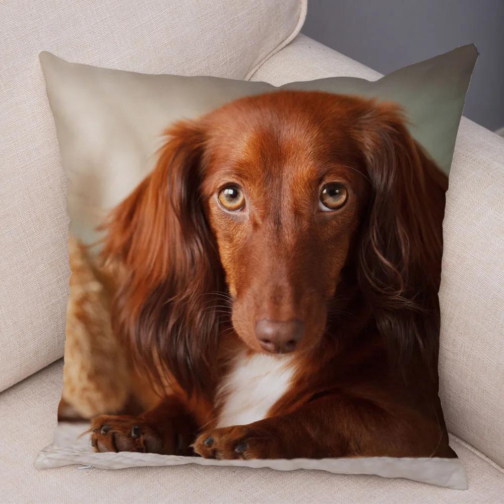 

Mini Dachshund Dog Cushion Cover Decor Pet Animal Pillow Cases Super Soft Plush Pillowcase for Sofa Home Children Room 45x45cm 12x12Inch