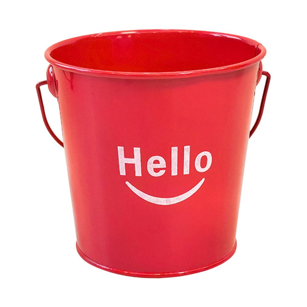Colorful Small Metal Buckets Rust-Resistant Flower Pot Storage Holder New Succulent Plant Pot красный