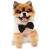 Bow Tie for Pet Cat and Dog Disguise Black