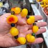 Amber & Beeswax Chicken Heart Fashion Bracelet for Men and Women
