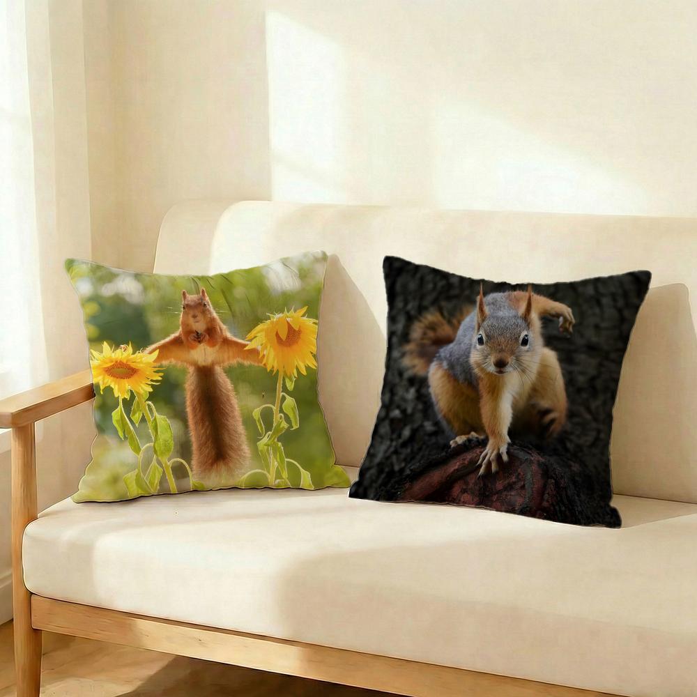cute animal squirrel Cushion Cover Decorative Cushion Cushions Covers Cover Sofa x Pillow Piece x x Pillowcase