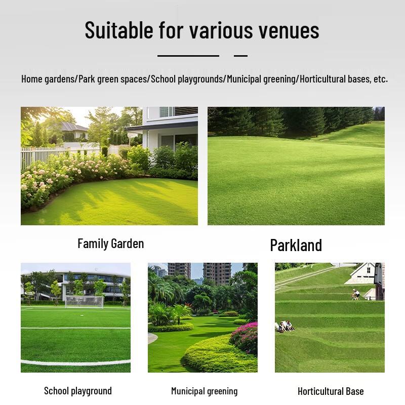 MARUNOKI 20-inch Self-Propelled Gasoline Lawn Mower CN plug (adapter included)