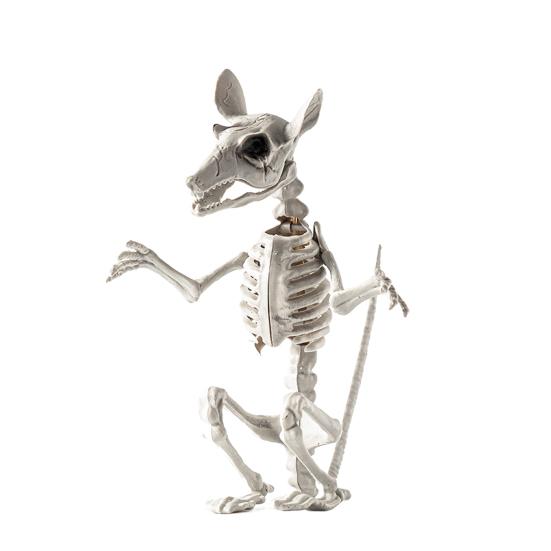 Halloween Skeleton Animal Decoration Creepy Cat/Dog/Bird/Rat/Goat Head Plastic Bones for Courtyard Graveyard Halloween Decor
