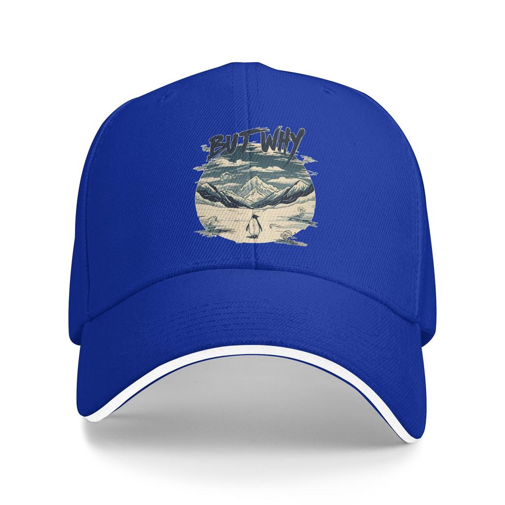 Spring Nihilist Penguin But Why Baseball Cap Outdoor Sports Stylish Design Sun Hip Hop Hats UnisexTeens SunProof Baseball Caps