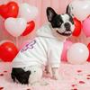 Roupa e sapatos – Camisolas com capuz para cães