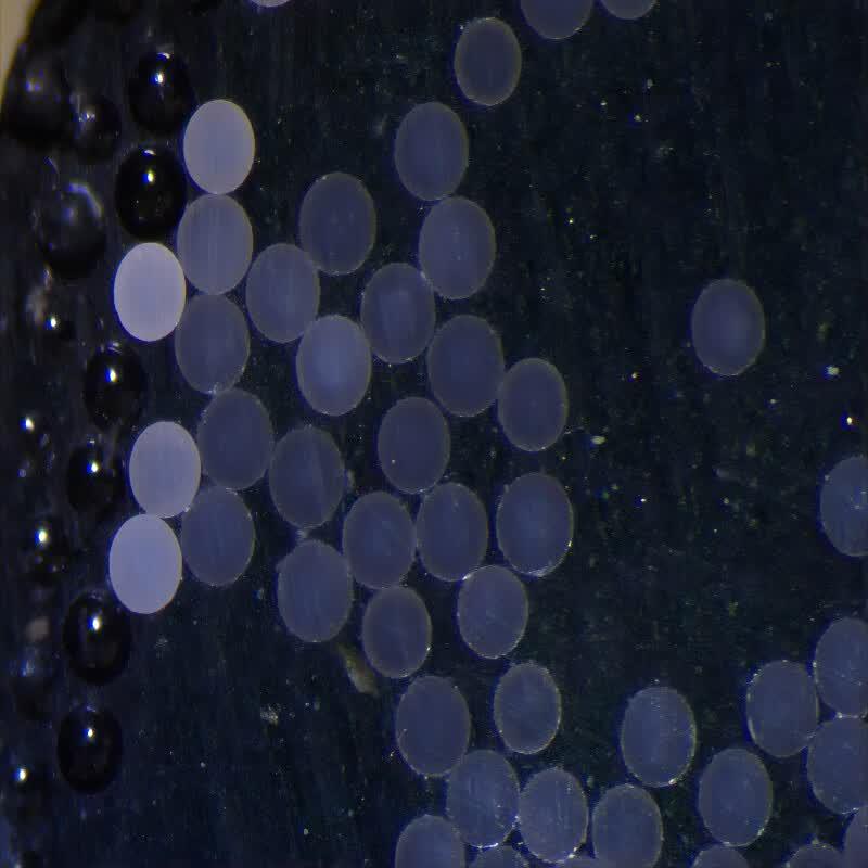 Longly YD-Zr95N Zirconia Grinding Beads