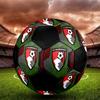 SIZE 5 AFC Bournemouth Soccer Ball Colorful All Ages Machine Stitched PVC Competition Ready Durable High-Bounce