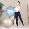 Anti-Burst Gym Ball 65cm Pregnancy Exercise Balance Ball