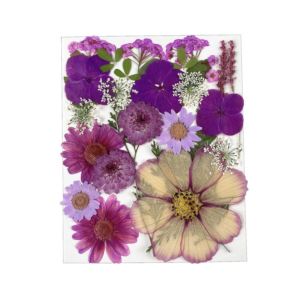 25PCS Dried Flowers Set for DIY Resin Pendant Making Filling Pressed Real Natural Flowers Leaves for Bookmark Phose Case Making