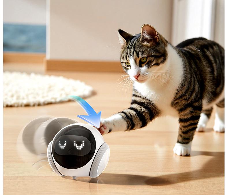 Pet Companion AI: Smart Home Camera & Mobile Monitoring Robot