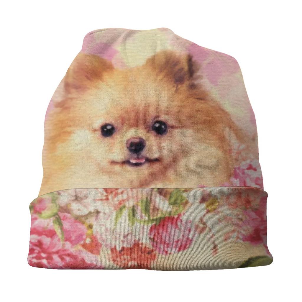 Winter Warmer süßer Pomeranian Deutscher Spitz mit Blumen Motorhaube Femme Beanie Mütze Hippie Haustier Hund Outdoor Ski Skullies Beanies Cap