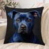 1pc Pillowcase, Royal Blue Staffordshire Bull Terrier Face Pillowcase - 2D Flat Printing, Single-Sided Print, No Pillow Insert, 17.72 X 17.72 Inches (