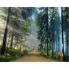 Natural Landscape Wall Paper Sunshine Forest Elk Mural Living Room Bedroom Background Wall 3d Wallpaper