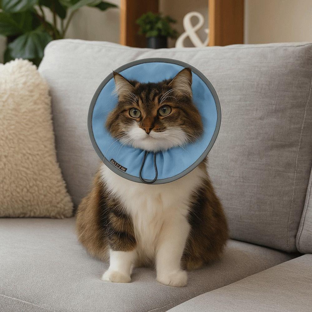Waterproof Pet Grooming Collar Anti-licking Cat Protective Collar For Cats Dogs