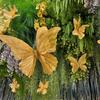 3D Painted Butterfly Wedding Backdrop with Scenery and Props for Photography and Décor
