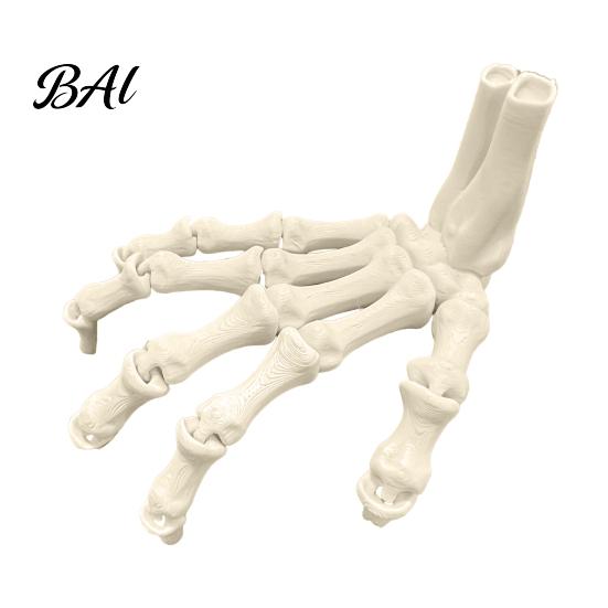 Indoor Halloween Display Ornaments Skeleton Hands, 3D Printed Hand Bones Model, Realistic Scary Props for Decorations Spooky Bone Claw Prop Party Home