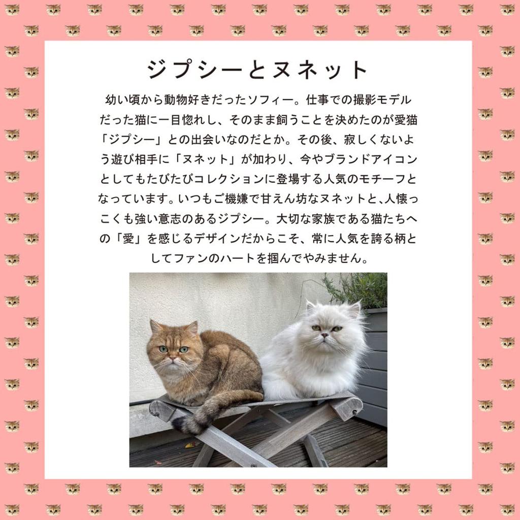 PAUL JOE ACCESSOIRES Handkerchief Cotton Floral Print & Women's (100% / Approx. 45cm) (White)