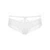 Women's Lace Sheer Cutout Comfy Low Rise Briefs