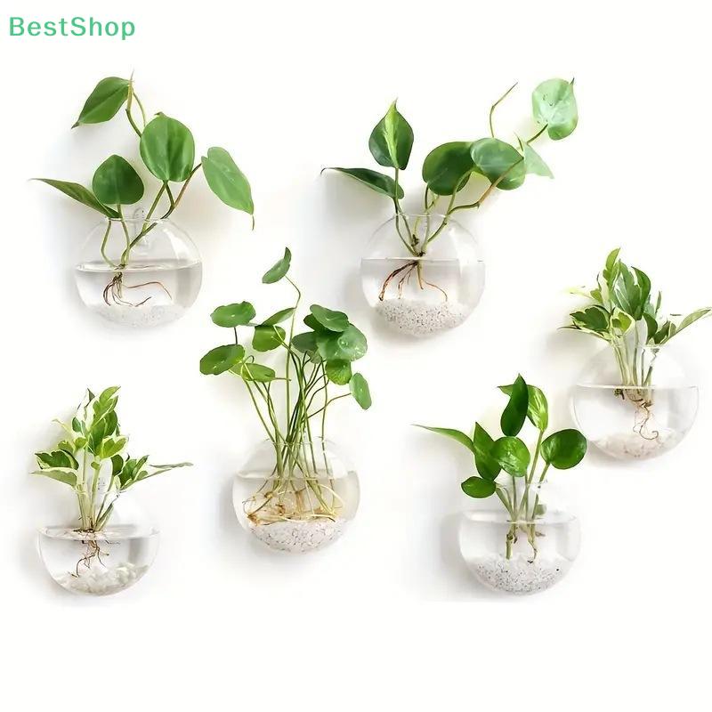 Wandhängendes Glas Pflanzen-Terrarium Behälter Vermehrungsstation Wandmontierte Blumenvasen Luftpflanzen-Terrarium Heim-Büro-Dekor