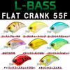 DUEL Flat Crank 55F 55mm Ghost Chart Back Bass Fishing L-Bass