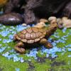 Mini Turtle Ornament: Rockery Bonsai for Fish Tank, Pond, or Courtyard Decoration