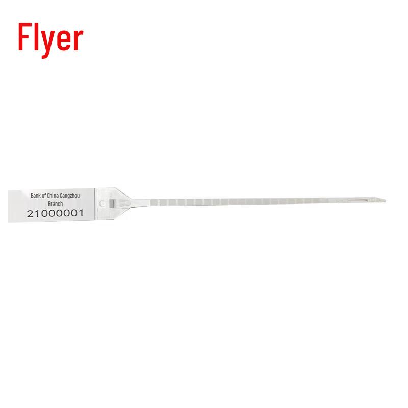 

FEIER 200mm Writable Security Seal Strips, 10000 Pcs CN plug (adapter included)