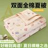 Small Fresh Cotton Summer Cool Quilt