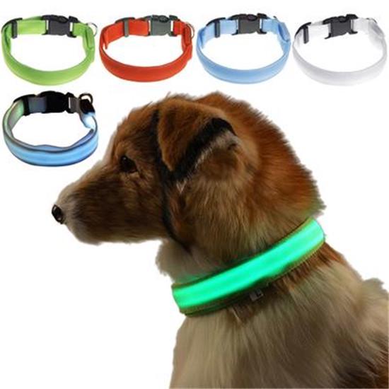 usb dog collar