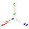 Marble Color Matching Game (Wooden Toy that Uses Hands Mind Educational Toy) Wood Education