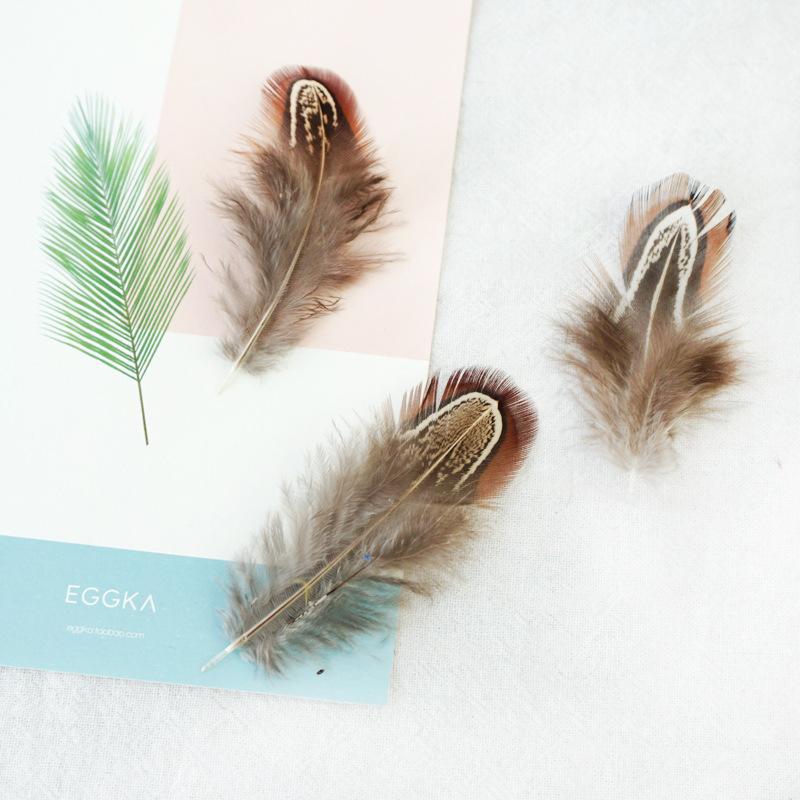 Diverse Pene de Fazan în Culori Primare Materiale DIY Handmade Cercei Băț pentru Pisică Pene Decorative