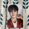 [USED] StrayKids Subk Shop INsei Han Sukiz Trading Cards