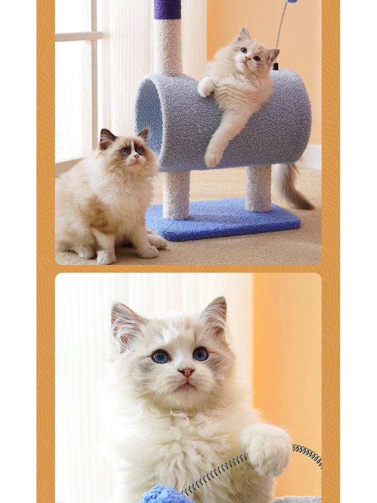 Space-Saving Cat Tree with Bed & Scratching Post for Small Apartments