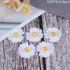 5Pc Sun Flower Daisy Sew On/Iron On Embroidered Patch Diy Craft Clothes Applique