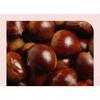 Isntree - Chestnut AHA 8% Clear Essence