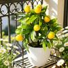 For MINI Lemon Artificial Plant In Pot for Desk Decoration Yellow Fake Fruit Potted Plant for Office Home 18cm Realistic Look