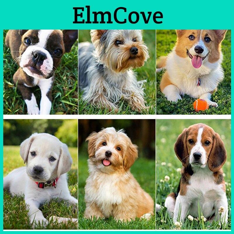 Diy Painting Diamond 5d New Pet Dog Diamond Embroidery Animal Cross Stitch Full Square Round Drill Crafts Home Decor Manual Gift