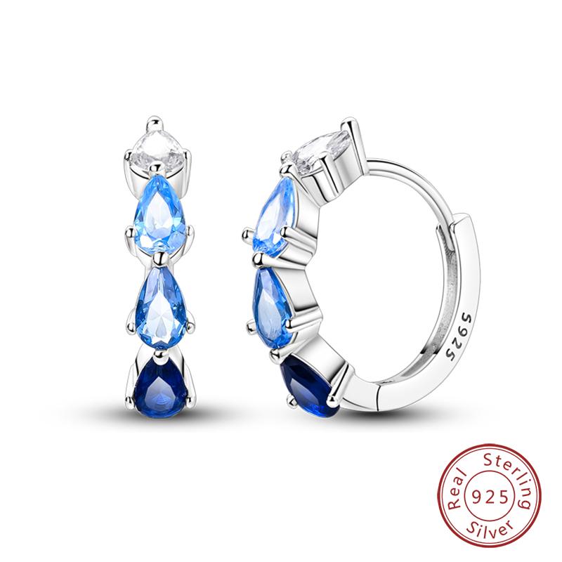 New 925 Silver Hope Rainbow Flower Earrings For Women Sparkling Colored Zircon Star Koi Earrings Fashion Party Jewelry