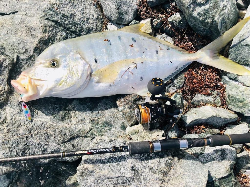 Gomexus E38 Reel Handle Knob EVA Round Knob 38mm Daiwa Type S Shimano Type A Handle Replacement Spinning Reel Baitcasting Reel Compatible Sea Fishing