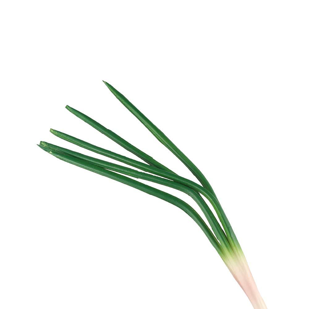 Plant Simulation Vegetable PU Imitation Scallions Model Artificial Green Onion  Photography