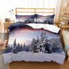 Sada povlaku na přikrývku Snowflake Zimní téma Polyesterový povlak na přikrývku Velikost Twin Full Pro Děti Dospívající Dospělé Dekorace do ložnice Ložní souprava